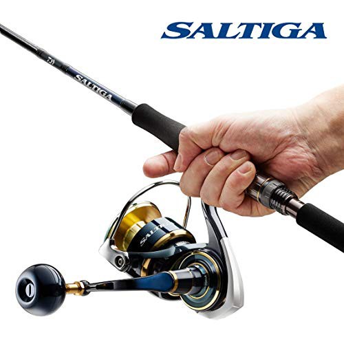 ダイワ(DAIWA) スピニングリール 20 ソルティガ 14000-XH(2020モデル