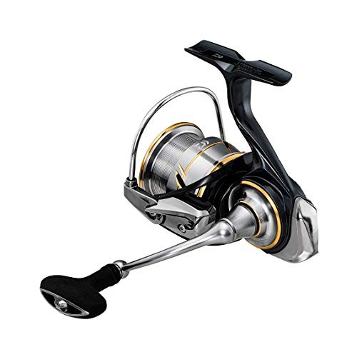 ダイワ(DAIWA) スピニングリール 20 ルビアス LT3000S-CXH(2020モデル ...