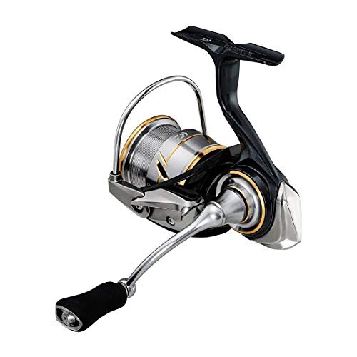 ダイワ(DAIWA) スピニングリール 20 ルビアス FC LT2500S-XH (2020モデル) その他のスポーツ