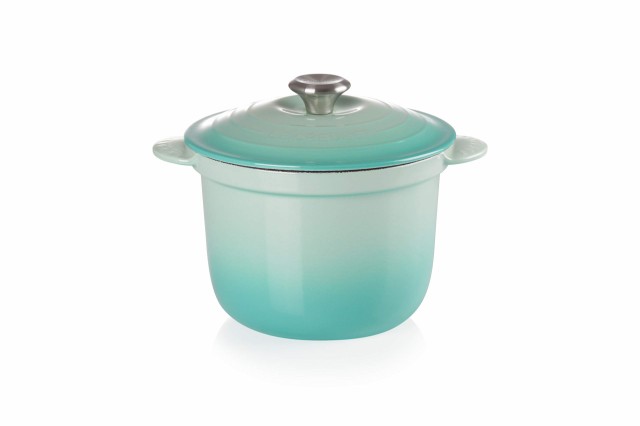 ル・クルーゼ(Le Creuset) 鋳物 ホーロー 鍋ココット・エブリィ 20 20 cmクールミント 【日本正規販売品】