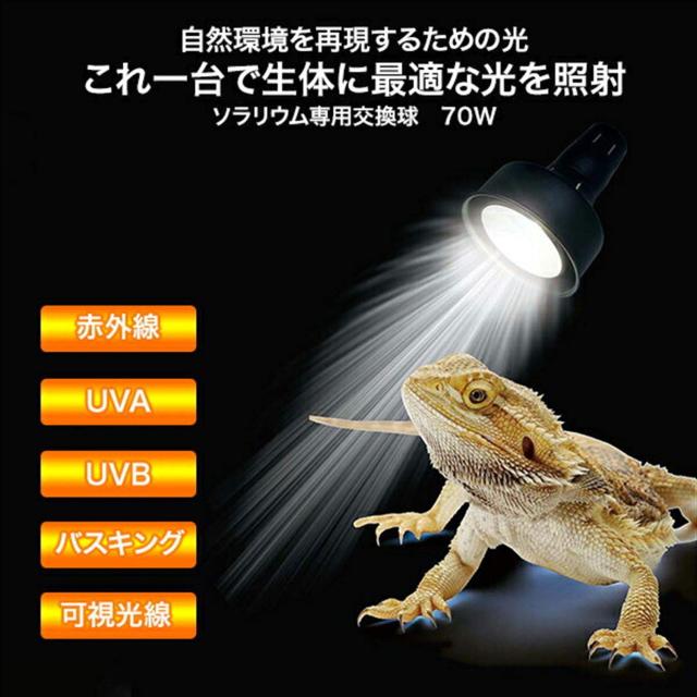 ゼンスイ ソラリウム 交換球 70W ゼンスイ ソラリウム ランプ ゼンスイ ソラリウム 交換球 70W ゼンスイ ソラリウム ランプ