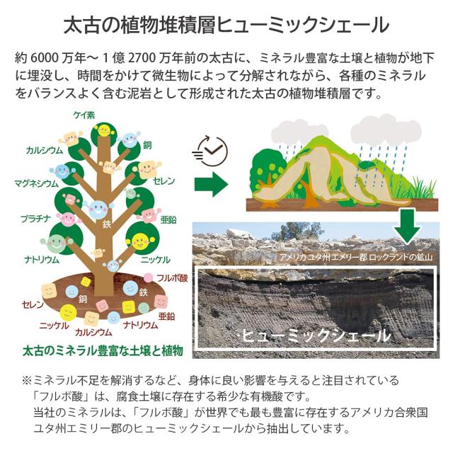 U＆I･JAPAN 植物ミネラル水 1000mL 植物性ミネラル 希釈用 70種類以上 高吸収性 フルボ酸 シリカ 太古の地層由来 用途いろいろ_4