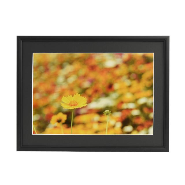 FUJICOLOR アルミ額縁 A33 全紙 ブラック 306778