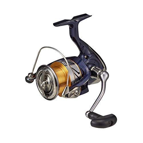 ダイワ(DAIWA) スピニングリール 20 クレスト LT4000-C(2020モデル)の通販は