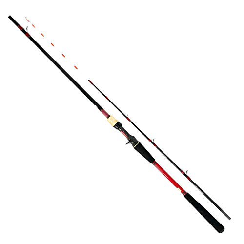 ダイワ(DAIWA) 船竿 アナリスタータチウオ テンヤ・R 82-180・R 釣り竿