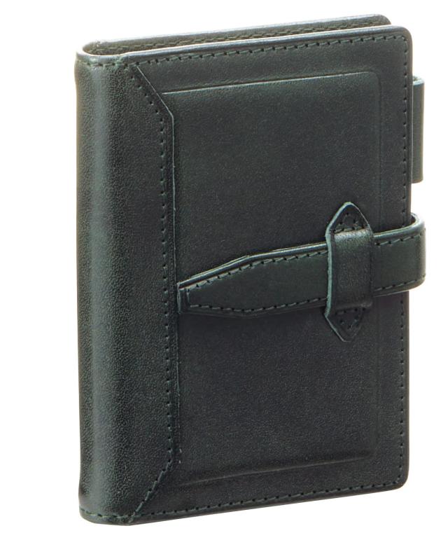 レイメイ藤井 システム手帳 ダヴィンチ ロロマクラシック ミニ5 グリーン DPM3034M