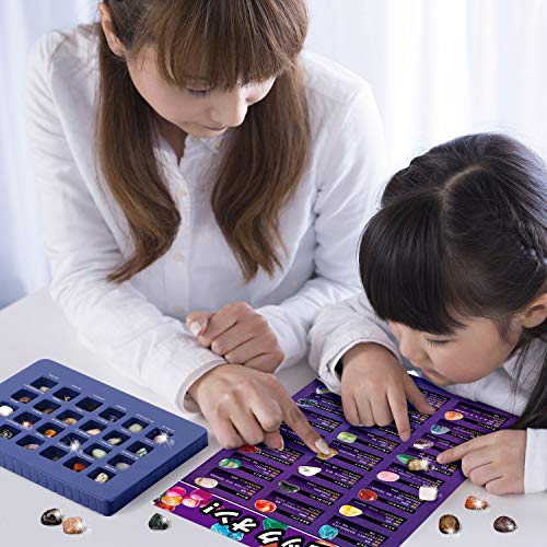 XXTOYS 鉱石標本24種 おもちゃ 宝石 岩石標本 天然鉱石 ク リ ス マ ス