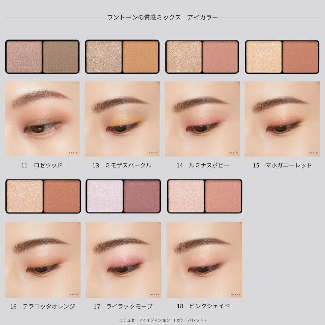 ettusais(エテュセ) アイエディション (カラーパレット) 04 オレンジ