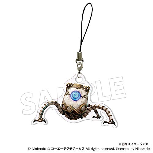 Amazon.co.jp: ゼルダ無双 厄災の黙示録 TREASURE BOX : ゲーム