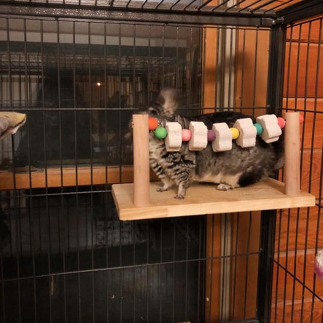 定価19万円　DOMEO チンチラ ケージ デグー モモンガ 小動物　ケージ 定価19万円 DOMEO チンチラ ケージ デグー モモンガ 小動物