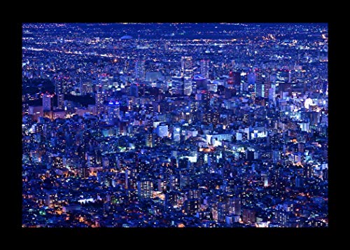 Nikon ミラーレス一眼カメラ Z5 レンズキット NIKKOR Z 24-200mm f/4-6.3 VR 付属 Z5LK24-200 ブラック