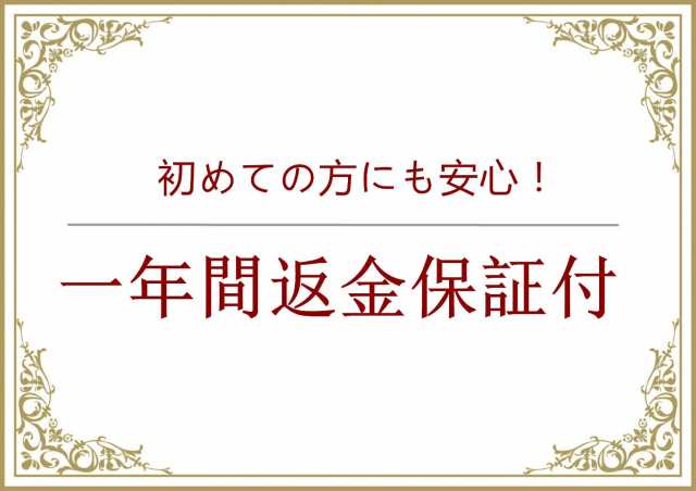 ワルボロWT・WTA系 キャブレター修理用 ダイヤフラムセット 刈払機 草刈機用 互換品 修理部品 17個パーツ入り (1)の通販はau PAY  マーケット - morushop | au PAY マーケット－通販サイト