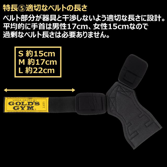 ゴールドジム(GOLD`S GYM) パワーグリップ プロ 3710 S(手首の太さ約
