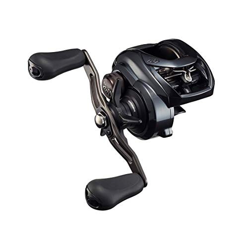 ダイワ(DAIWA) 21 タトゥーラ TW 300XH