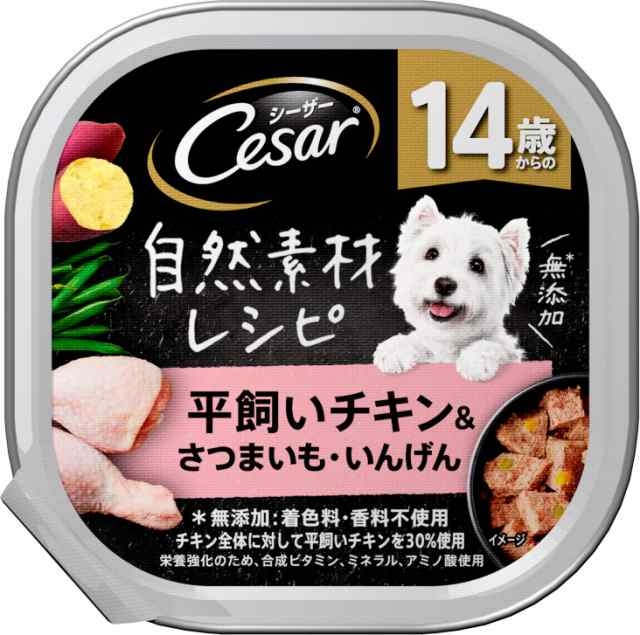 赤石光生 テクニカルレスリング [DVD](中古品)の通販は その他
