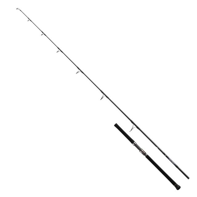 ダイワ(DAIWA) 21 ソルティガ C 710-8