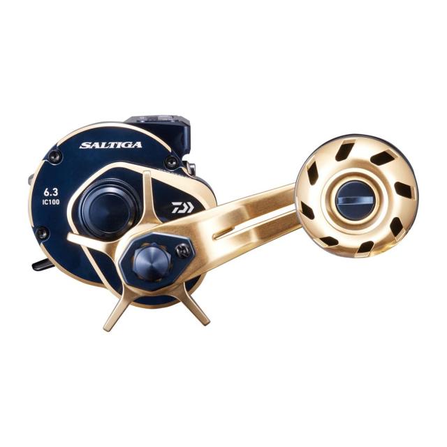 ダイワ(DAIWA) 21 ソルティガIC 100