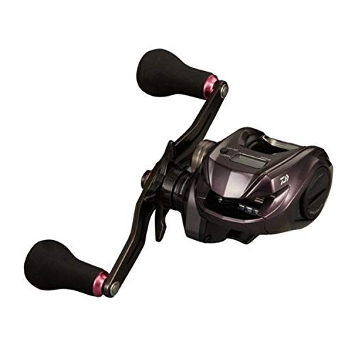 ダイワ(DAIWA) 21 紅牙 IC 150H