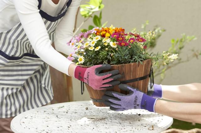 ショーワグローブ ケース販売 No.341 ライトグリップ パープル Lサイズ 120双 ショーワグローブ　No.341　ライトグリップ　パープル　Lサイズ　(1双)　手袋