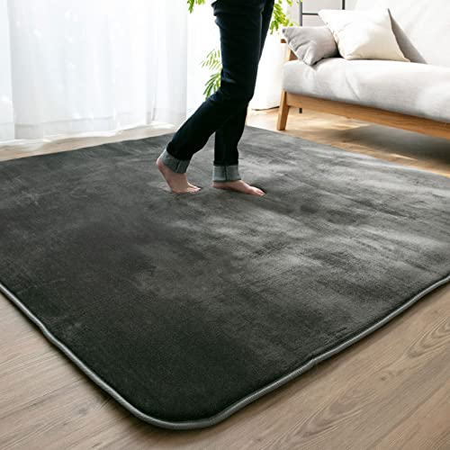 colorsroom 布団と寝具専門店カラーズ 低反発ラグマット ダークグレー 185×185cm 約2畳 A711-TH185MAT-DGY