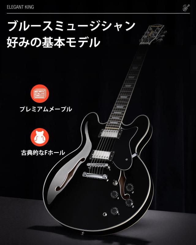 Donner ドナー、セミアコ セミアコギター セミアコースティックギター エレキギター ギター