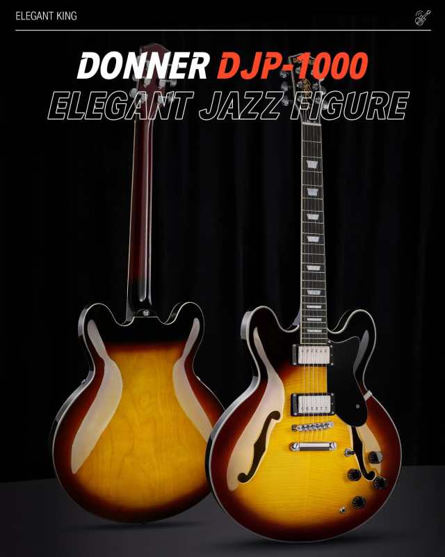 Donner セミアコギター エレキギター セミアコースティック