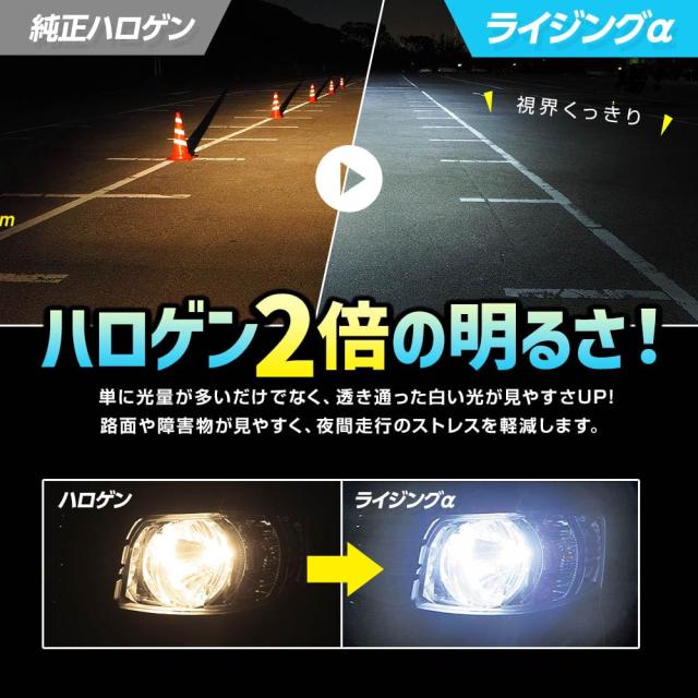 スフィアライト H19 LED ヘッドライト RIZINGα 6000K ホワイト