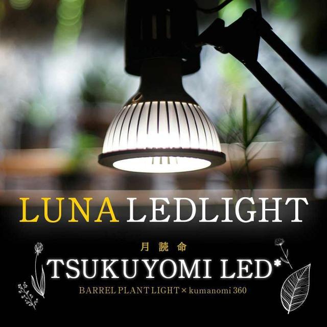 barrel TSUKUYOMI (ツクヨミ) LED 20W_1