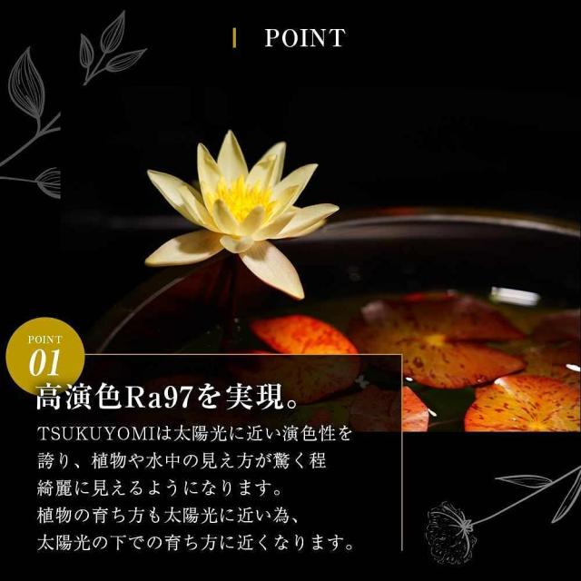 barrel TSUKUYOMI (ツクヨミ) LED 20W_4
