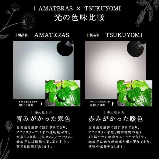barrel TSUKUYOMI (ツクヨミ) LED 20W_6