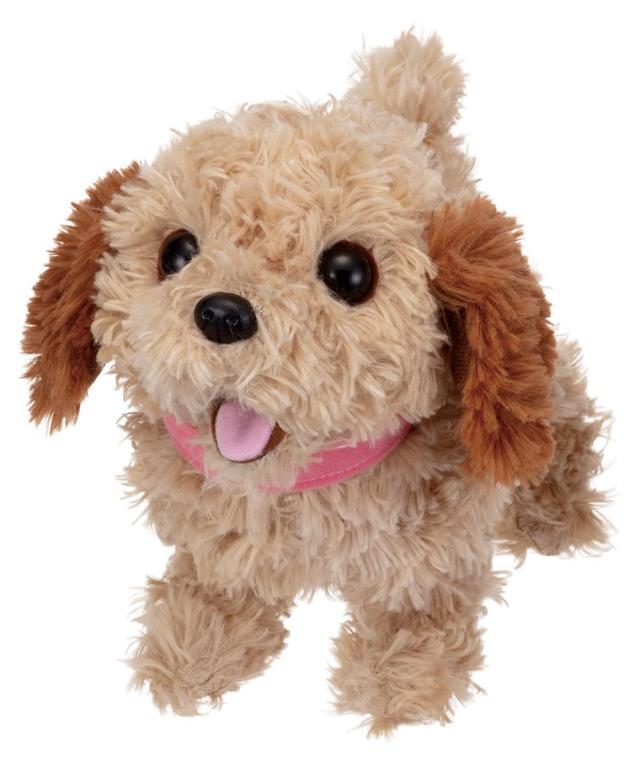 イワヤ(IWAYA) うれしさバクハツ! おでむかえワンワン コッカプー STマーク認証 3才以上 電池で動くぬいぐるみ