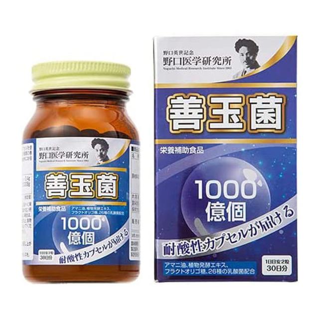 野口医学研究所 善玉菌 1000億個 60粒