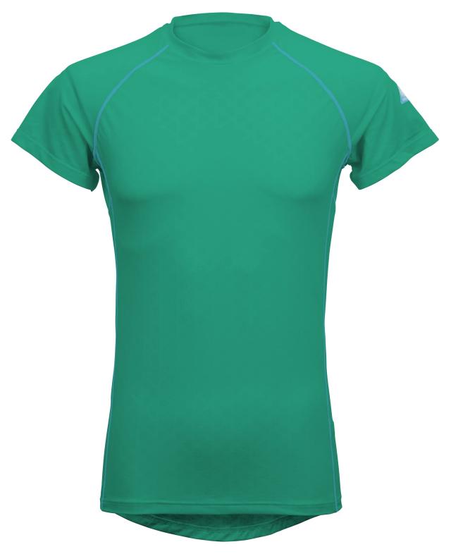 中島千波リトグラフ「寒牡丹」自筆サイン入り　限定220 純金砂子掛 中島千波リトグラフ「寒牡丹」自筆サイン入り 限定220 純金砂子掛