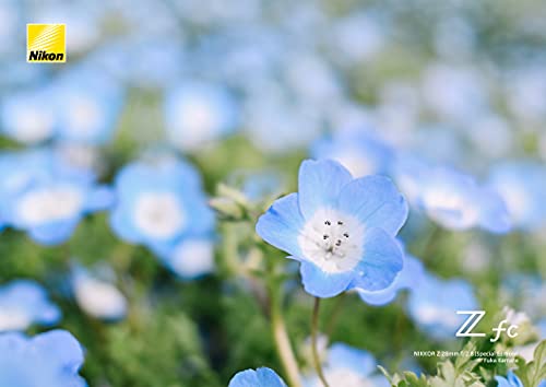 Nikon 広角単焦点レンズ NIKKOR Z 28mm f/2.8 Special Edition Zマウント フルサイズ対応 NZ28 2.8SE