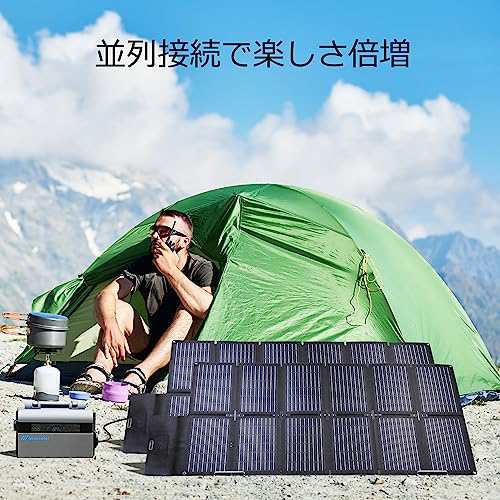 Nicesolar 折りたたみ式 ソーラーパネル 100W ETFE ソーラー