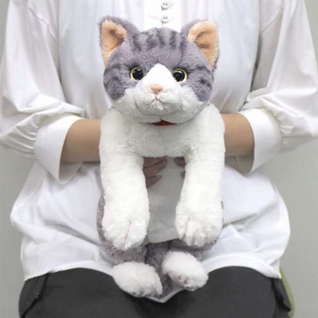 サンレモン ひざ ねこ サバシロ M 18×47×16cm ぬいぐるみ