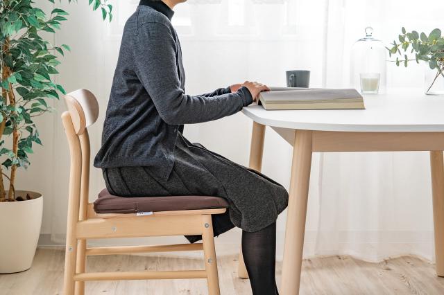 エクスジェル アウルカンフィ OWF10-BR 専用カバー付き 2個 エクス