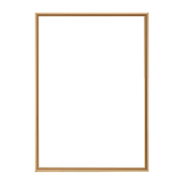 大額 アルミパネル ポスター額 5016 B1 ゴールド