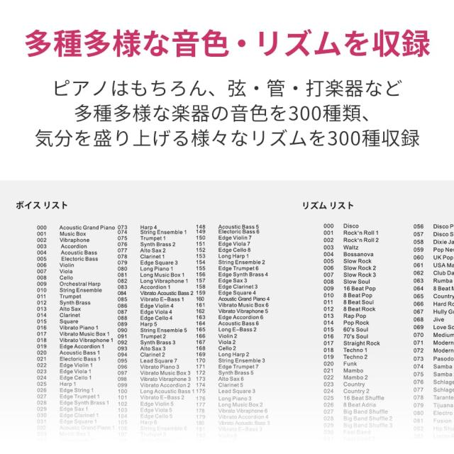 TORTE トルテ 電子キーボード 61鍵盤 日本語表記 300ボイス 軽量スリム