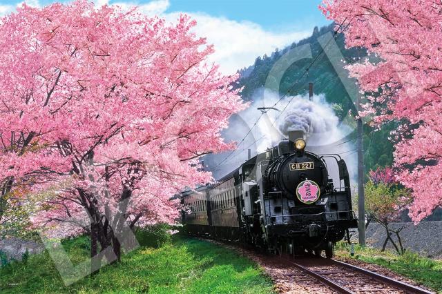 ヨーロッパ輸入ジグソーパズル 日の入りの電車 1500P ヨーロッパ輸入