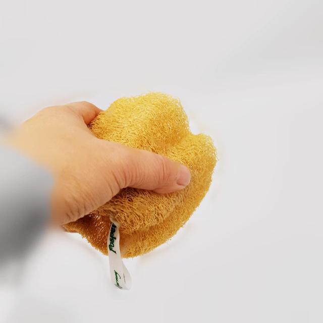 ヘチマたわし 美品大サイズお得用 販促用POP&シール付き ヘチマたわし 美品大サイズお得用 販促用POP&シール付き Amazon.co.