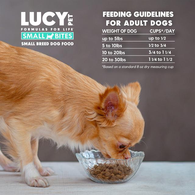 LUCY PET ルーシーペットプロダクツ ダック・パンプキン＆キヌア ドライドッグフード 小粒タイプ 4.5ポンド(2kg)_3