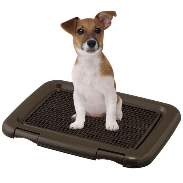 [送料無料]アイリスオーヤマ 犬 トイレ メッシュカバー付 フチもれしにくいトレーニングペットトレー
