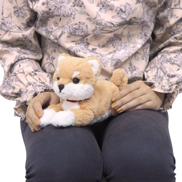 サンレモン ひざ わんこ 柴犬 ベージュ SS 10×13×26cm ぬいぐるみ