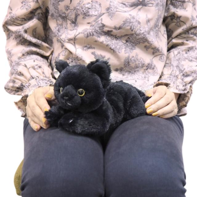 サンレモン ひざ ねこ ブラック SS 11×12×29cm ぬいぐるみ アニマル P