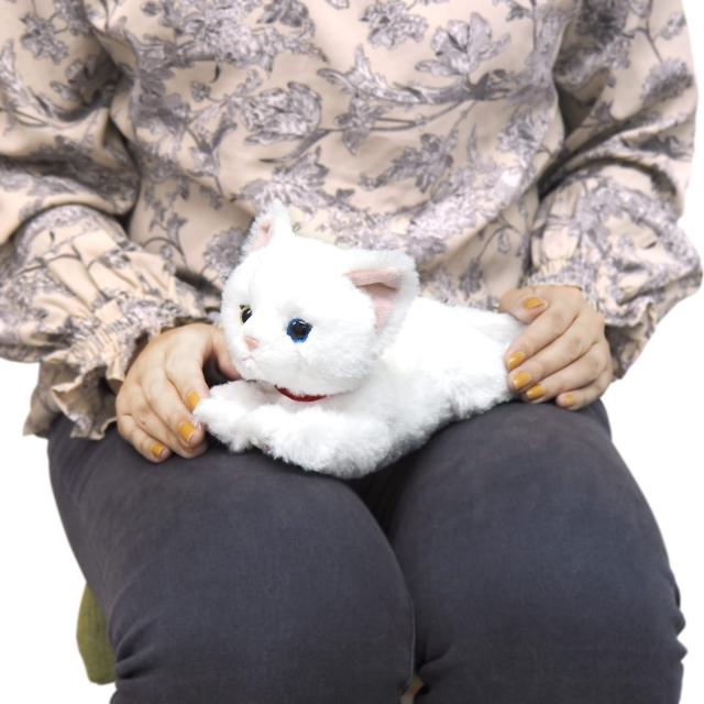 サンレモン ひざ ねこ オッドアイ ホワイト SS 11×12×29cm ぬいぐるみ