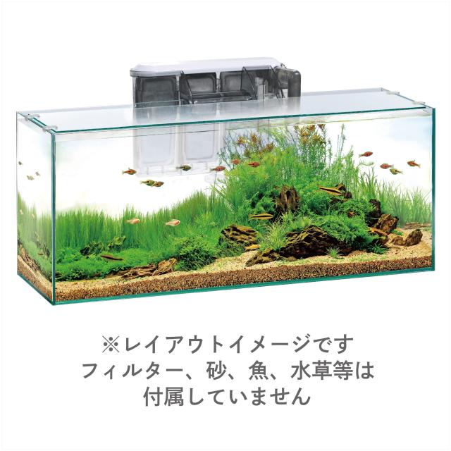 ジェックス グラステリアスリム600 フレームレス水槽 W60×D20×H25cm 約