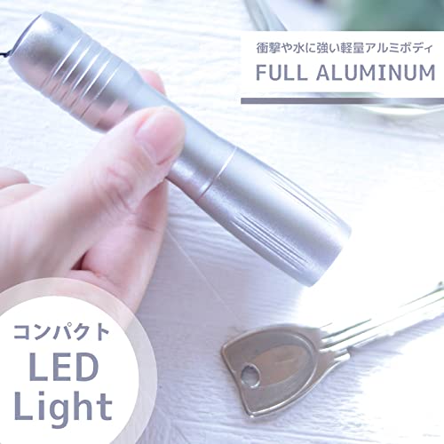 オーム電機 LEDコンパクトライト 懐中電灯 ハンディライト ポータブル