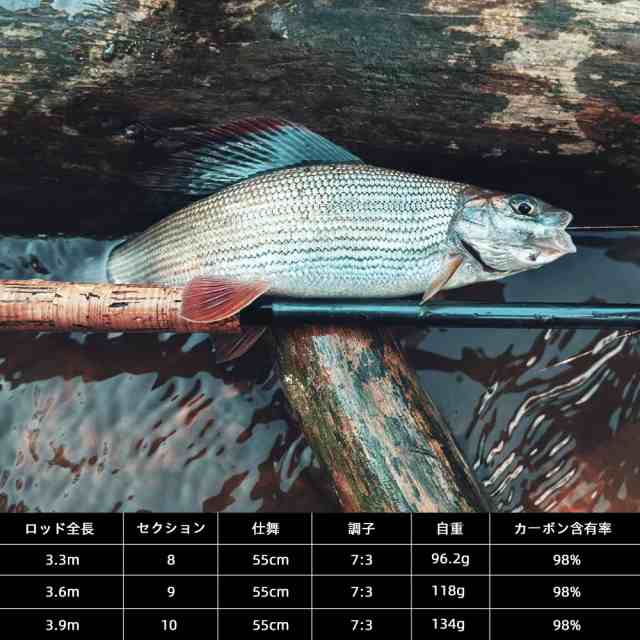 Goture テンカラ竿 3.9m 渓流ロッド 軽量 トラウト ヤマメ イワナ ニジマス アマゴ テンカラ竿 【テンカラ】の通販は
