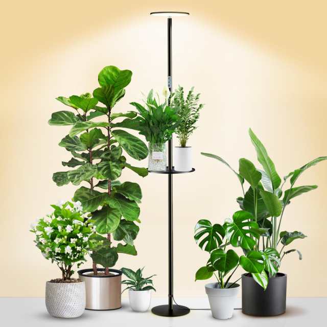 chiphyはライト、屋内植物のためのフルスペクトルLEDの植物ライト、皿が付いているすべての金属の永続的なフロア・ランプ、10レベルのDimの通販は